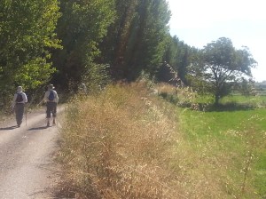 Fr John Fitzgerald and Fr Joe Taylor deep in conversation on the road