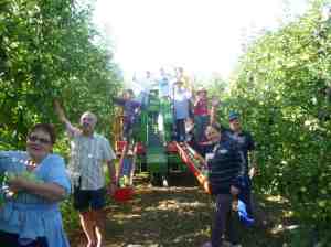 Apple pickers who gave us the most delicious apples