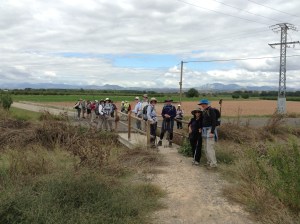 On the road from Logrono to Alcanadre