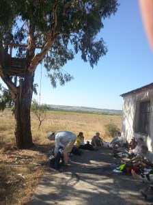 Lunch under an Australian gum tree