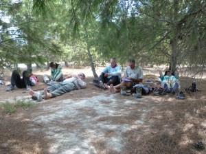 Lunch under some pine trees