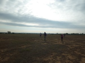 A very welcome overcast day