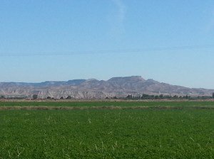 Some of today's scenery