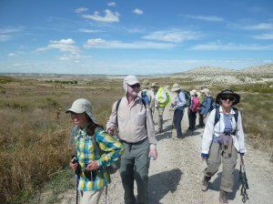 The beginning of the desert