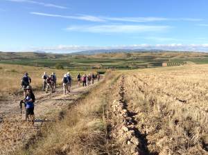 The walk was fairly flat today