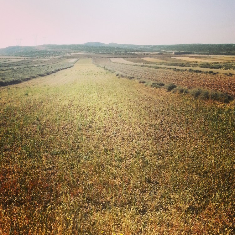 Fields that have been bailed