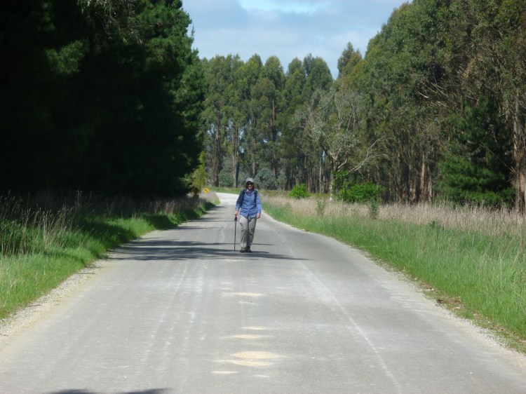 The back marker, Helen Lucas