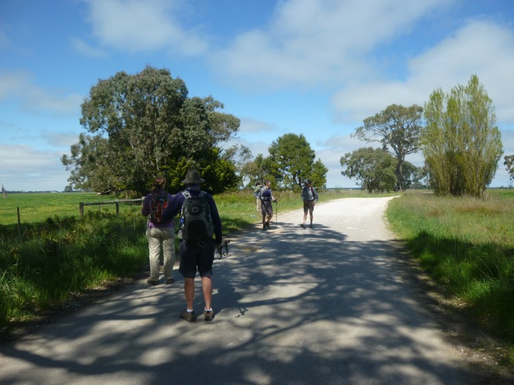 Taking a break under some shade