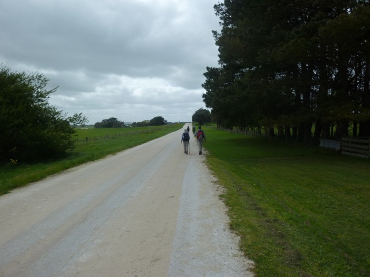 The limestone road, typical in this area
