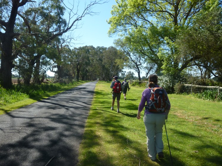 The road into Kalangadoo