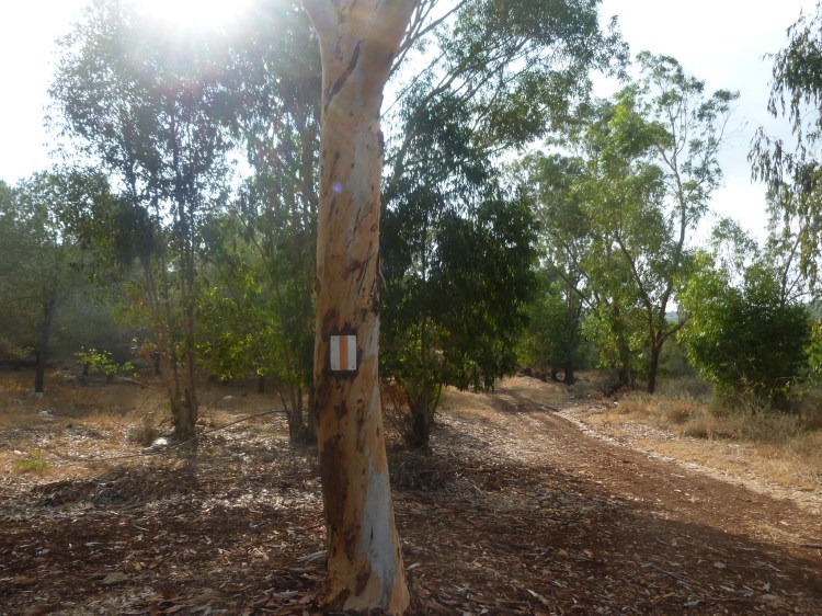 A welcome sign for the Jesus Trail