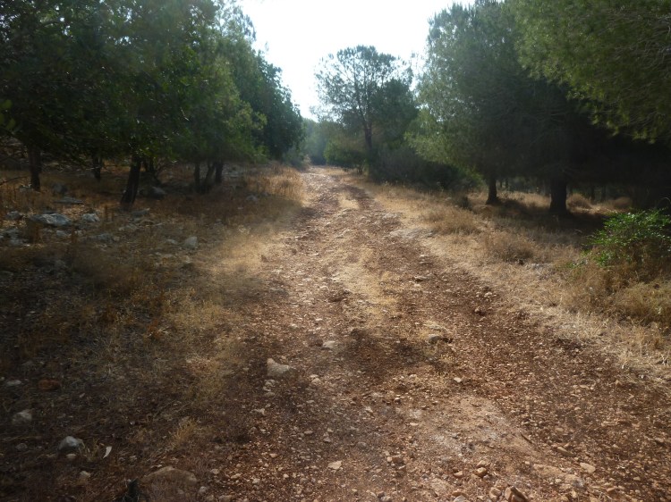 The track is rocky and uneven today