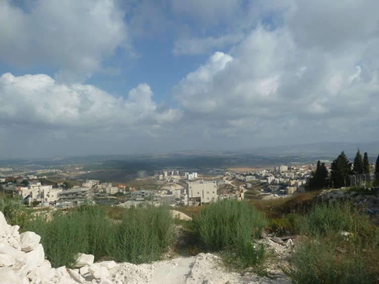 The morning was overcast — the weather was kind to me today