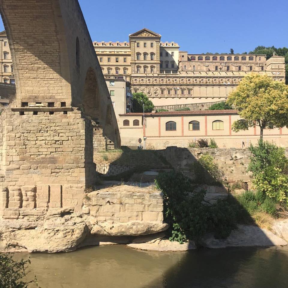 13592600_10208969015039256_5277078867709393446_n