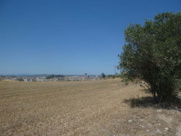 My first view of Manresa