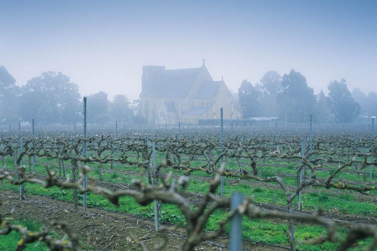 Header-DOM-Sevenhill-Cellars2